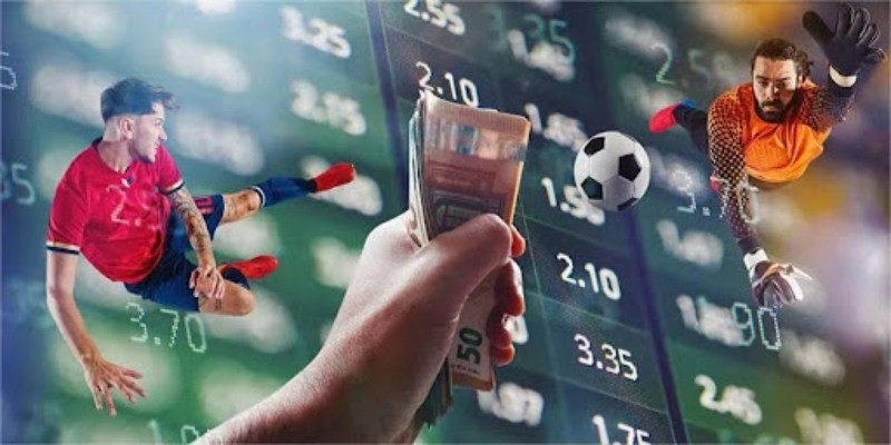 Tìm hiểu và phân tích từng đội bóng tham gia